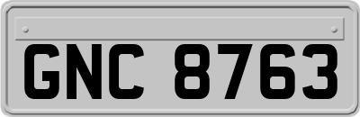 GNC8763
