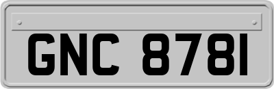 GNC8781