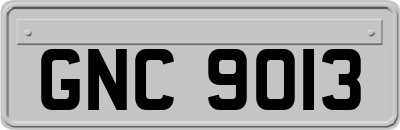 GNC9013