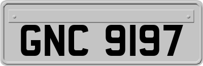 GNC9197