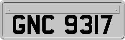 GNC9317
