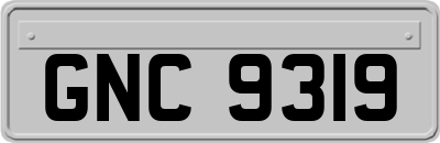 GNC9319