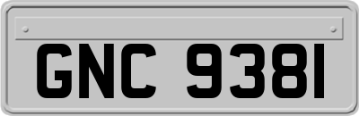 GNC9381