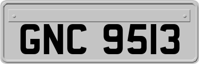 GNC9513