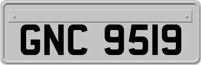 GNC9519