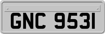 GNC9531