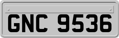 GNC9536