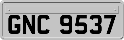GNC9537