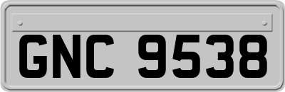 GNC9538