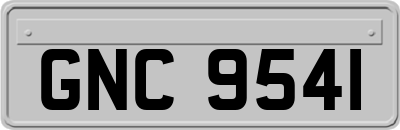 GNC9541