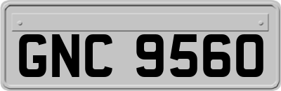 GNC9560