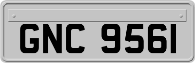 GNC9561