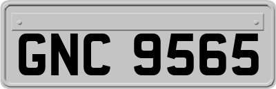 GNC9565
