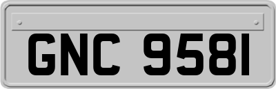 GNC9581
