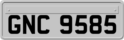 GNC9585
