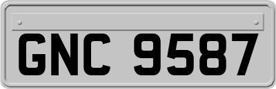 GNC9587