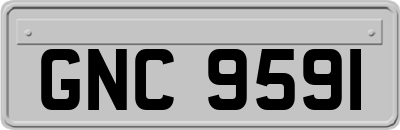 GNC9591