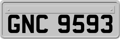 GNC9593