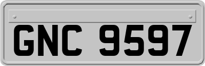 GNC9597
