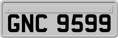 GNC9599