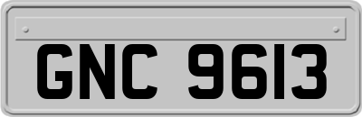 GNC9613