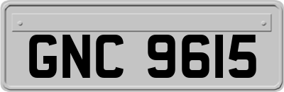 GNC9615