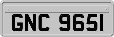 GNC9651