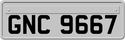 GNC9667