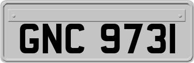 GNC9731