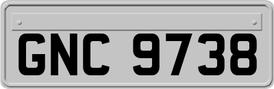 GNC9738