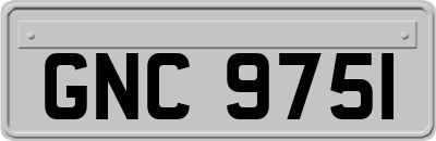 GNC9751