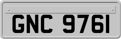 GNC9761