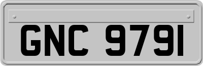 GNC9791