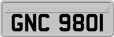 GNC9801