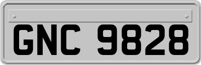 GNC9828