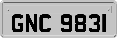 GNC9831