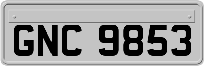GNC9853