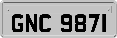 GNC9871