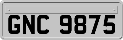 GNC9875
