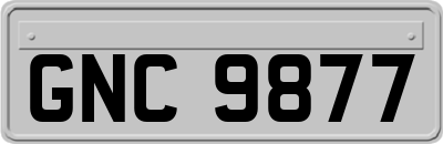 GNC9877