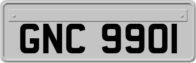 GNC9901