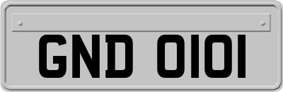 GND0101