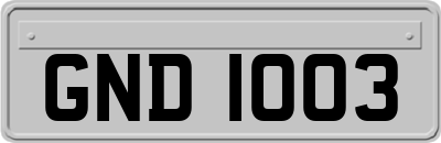 GND1003