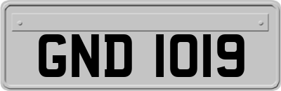 GND1019
