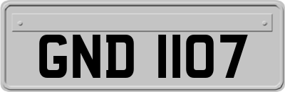 GND1107