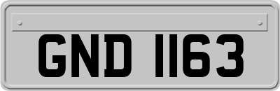 GND1163