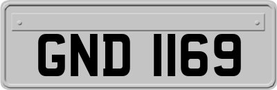 GND1169