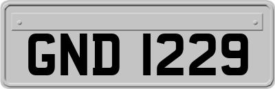 GND1229