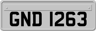 GND1263