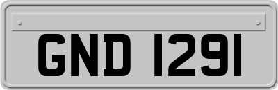 GND1291